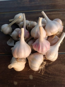 which foods boost the immune system | Garlic 