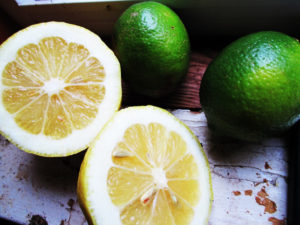 which foods boost the immune system | Lemon and Lime Slices | gut to brain connection
