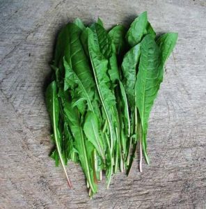functional nutrition | Chicory and Dandelion Greens | McPeak Market