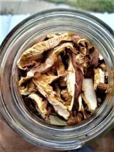what are benefits of mushrooms for health | Dried Shiitake