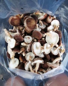 benefits of mushrooms for health | Shiitake Mushrooms
